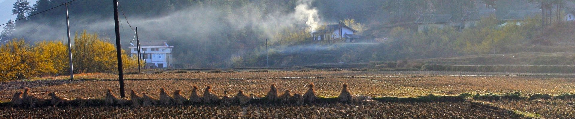 曼彻斯特城小胜莱斯特城再登顶|泛亚电竞平台(图3) 泛亚电竞官网