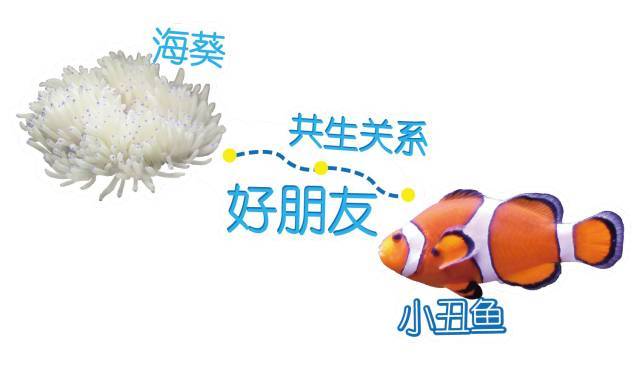 阿森纳不敌塞维利亚仍然捧杯|泛亚电竞官网(图3) 泛亚电竞官网