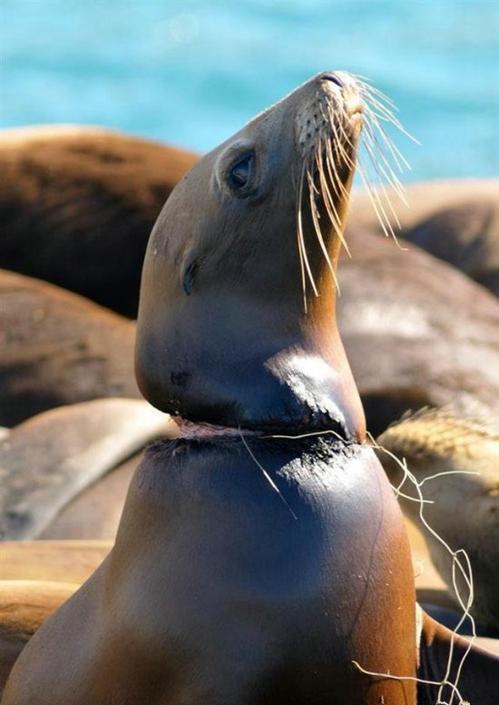 “泛亚电竞官网”成都天府新区太平小学开展区级课题研讨活动(图1) 泛亚电竞平台